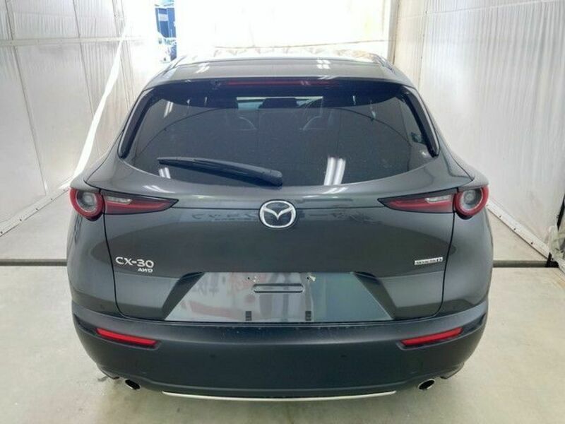 CX-30