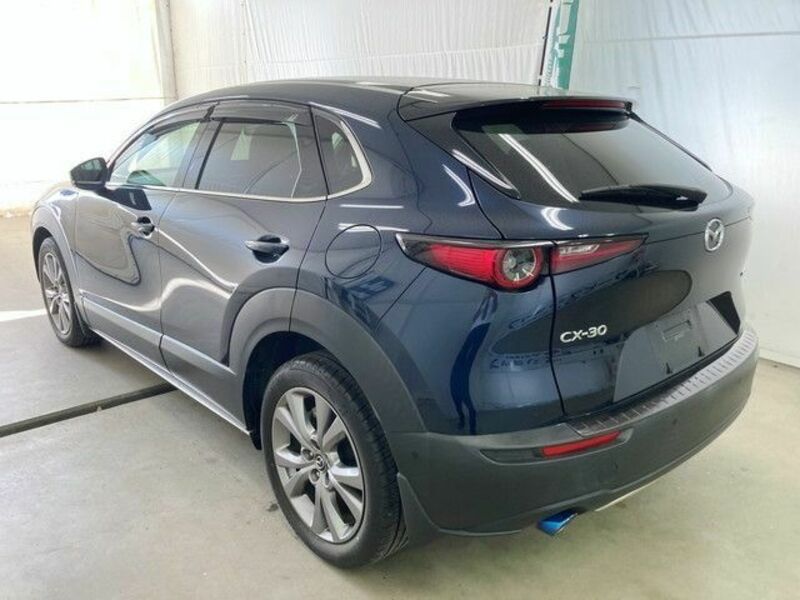 CX-30