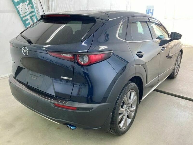 CX-30