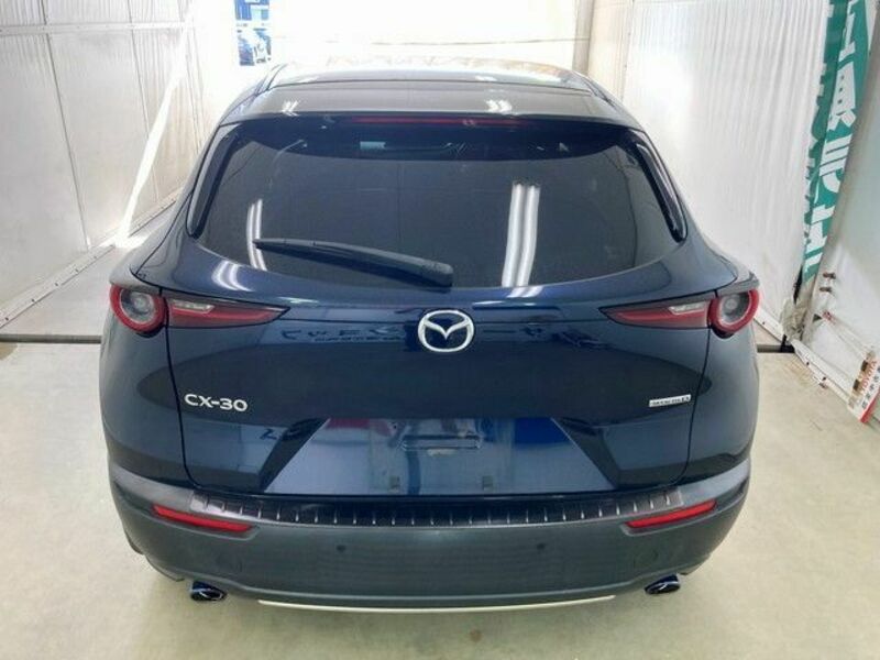 CX-30