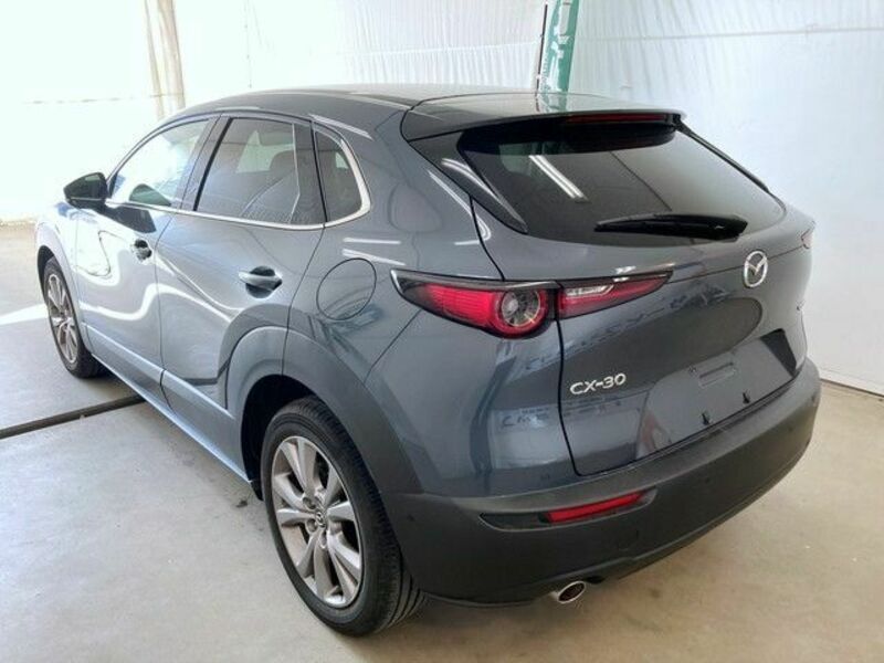 CX-30