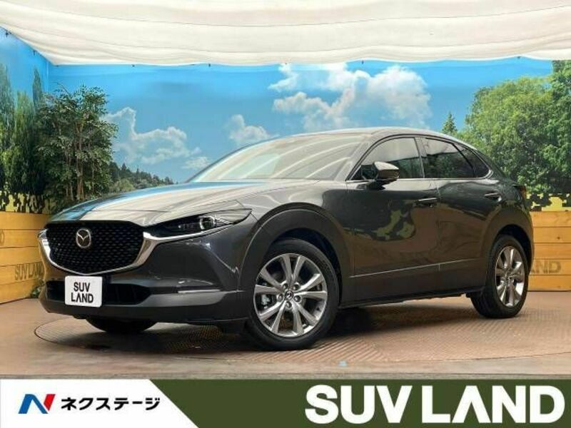 CX-30-0