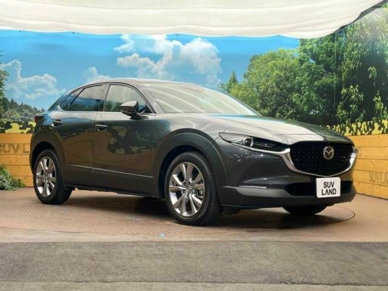 CX-30