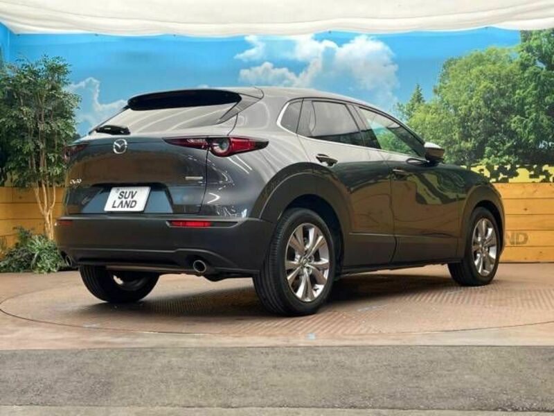 CX-30