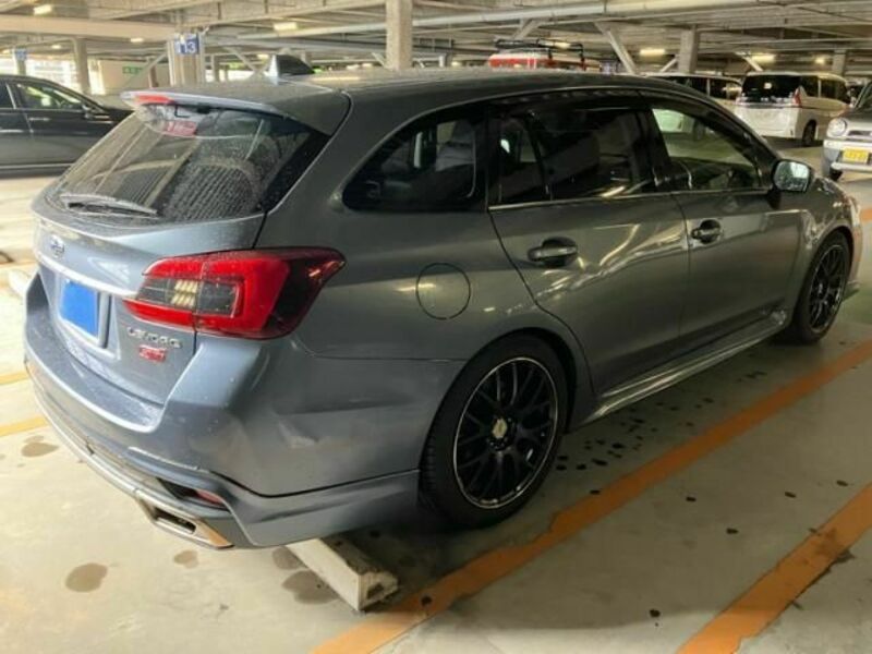 LEVORG