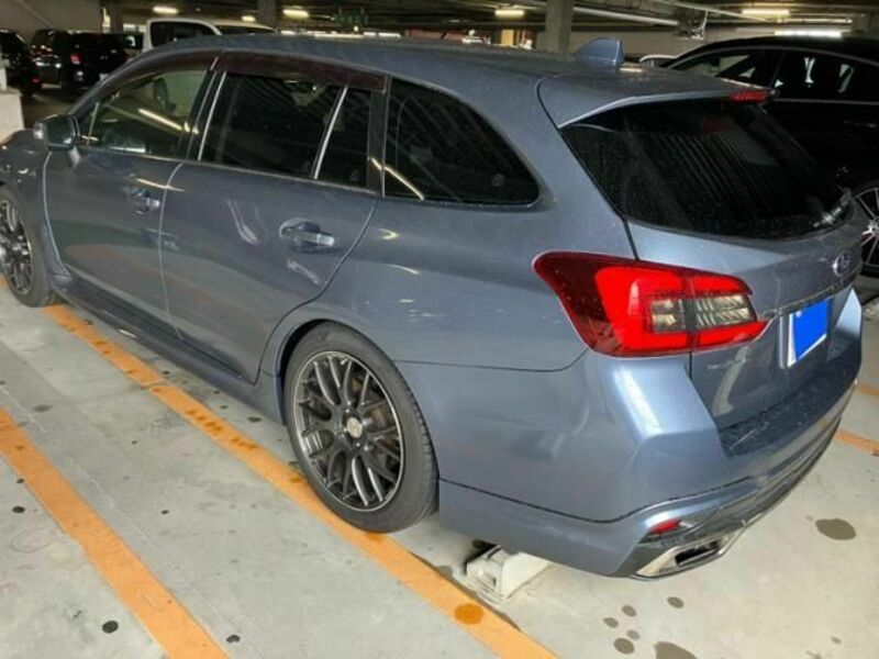 LEVORG