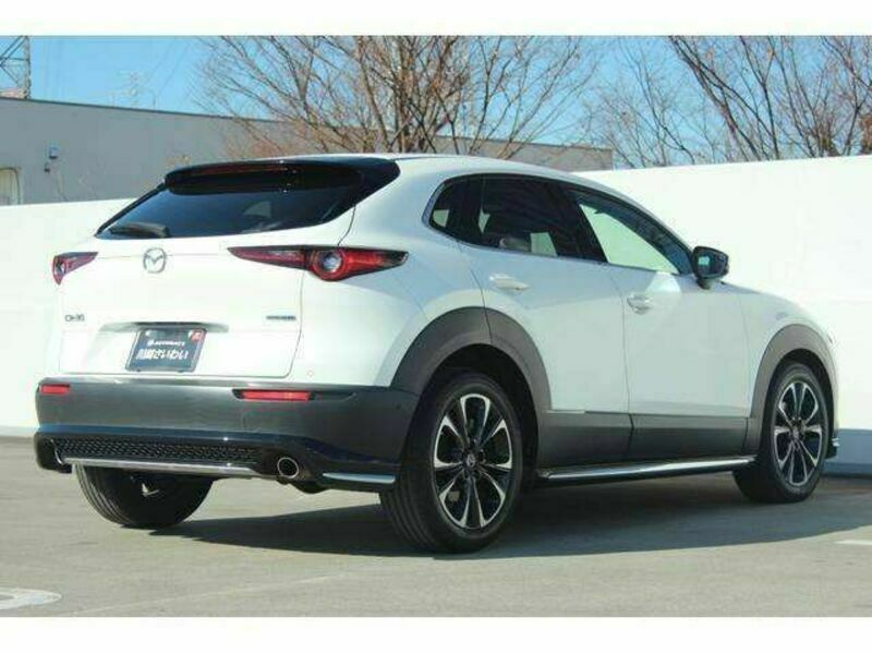 CX-30