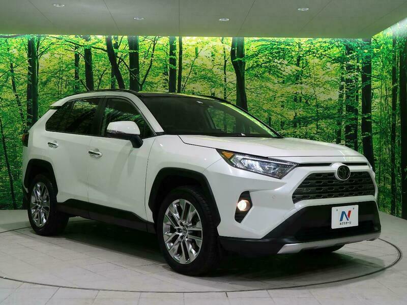 RAV4-52