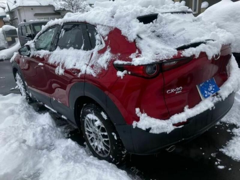 CX-30