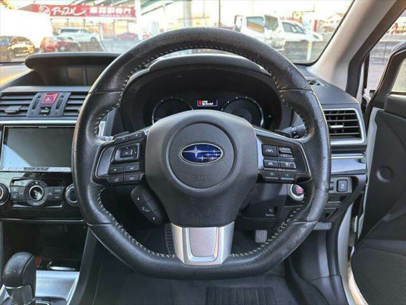 LEVORG