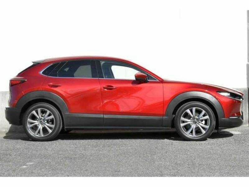 CX-30