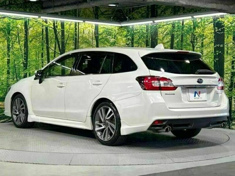 LEVORG