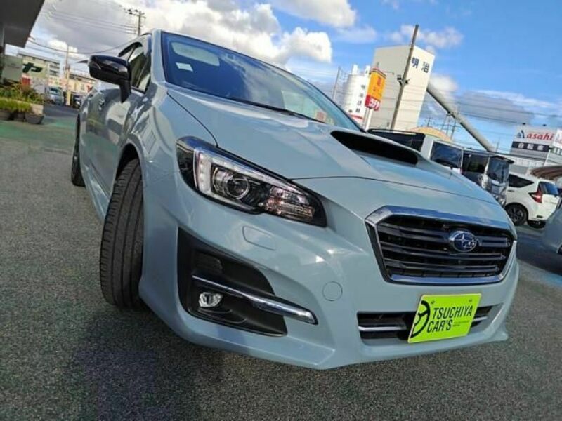 LEVORG