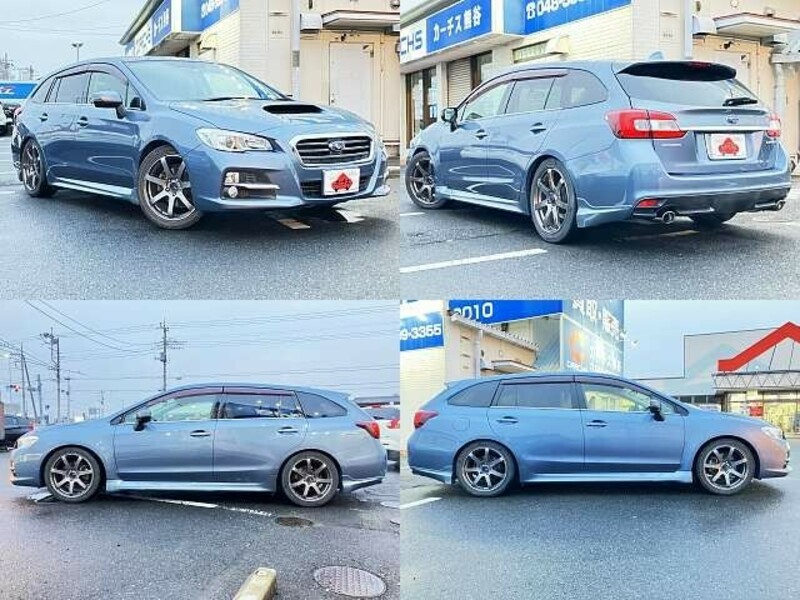 LEVORG