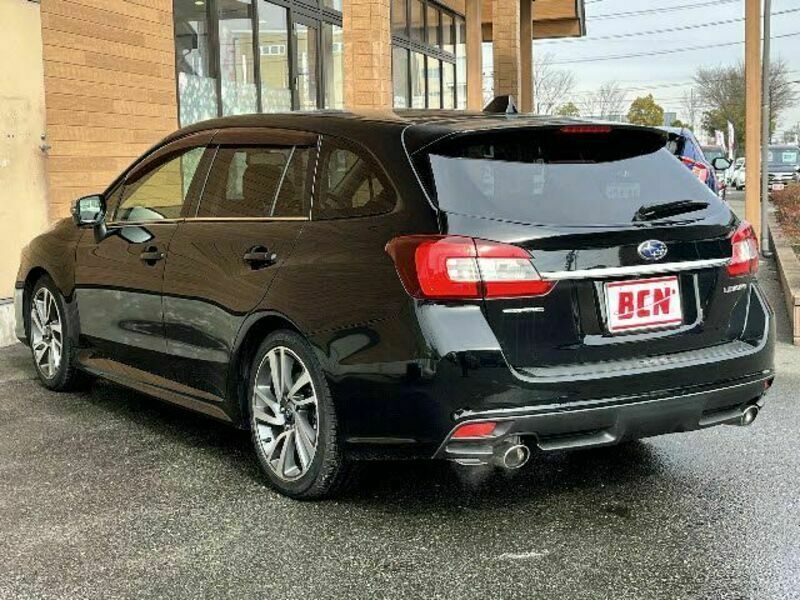 LEVORG