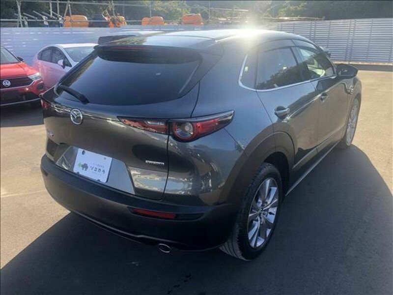 CX-30