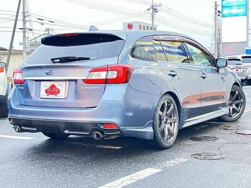 LEVORG