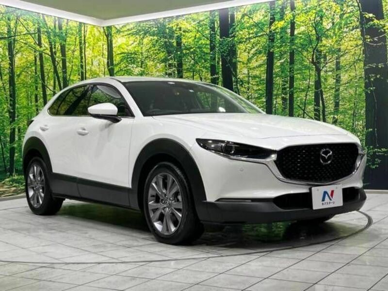 CX-30