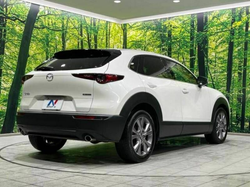 CX-30