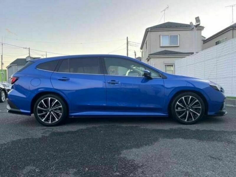 LEVORG