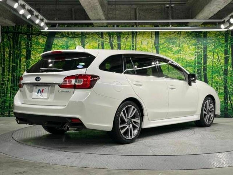 LEVORG