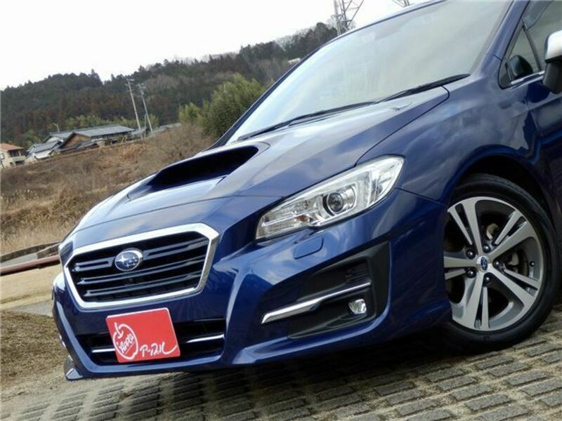 LEVORG