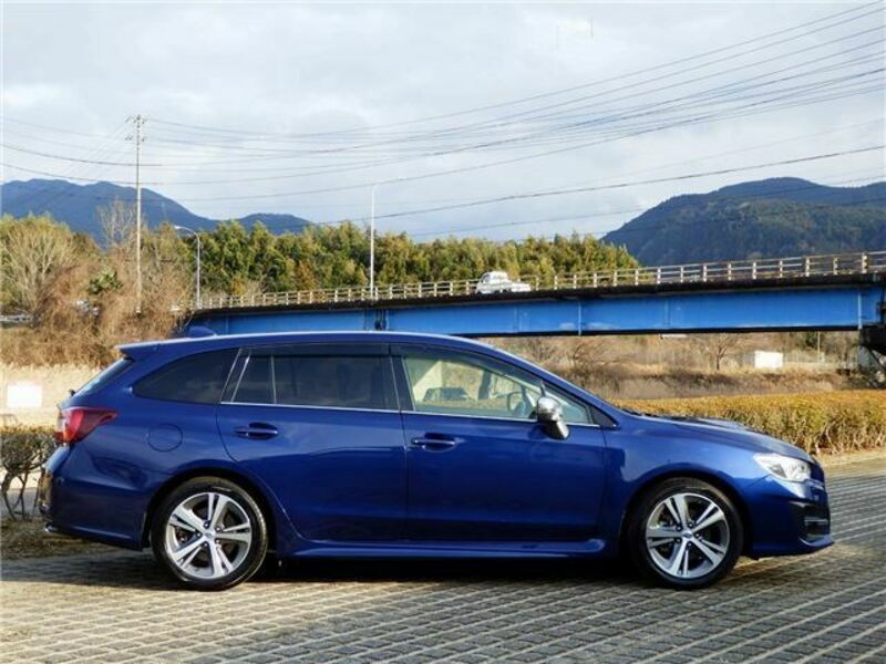 LEVORG