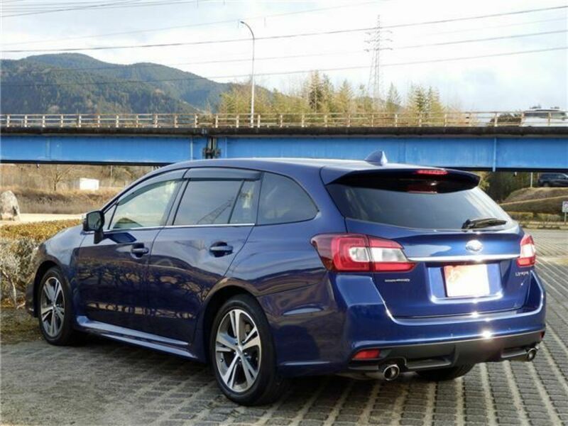 LEVORG