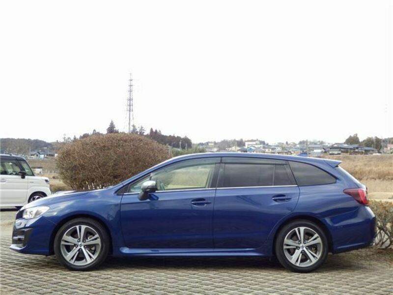 LEVORG