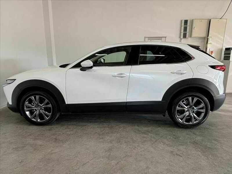 CX-30