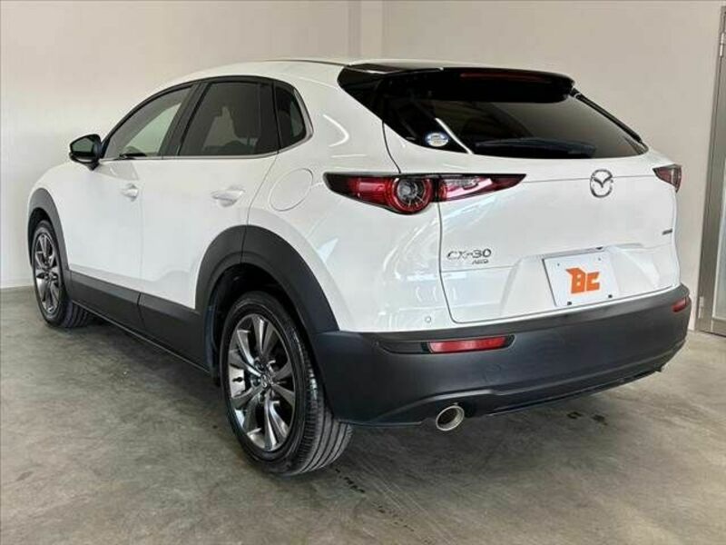 CX-30