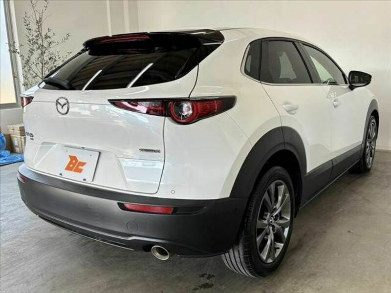 CX-30