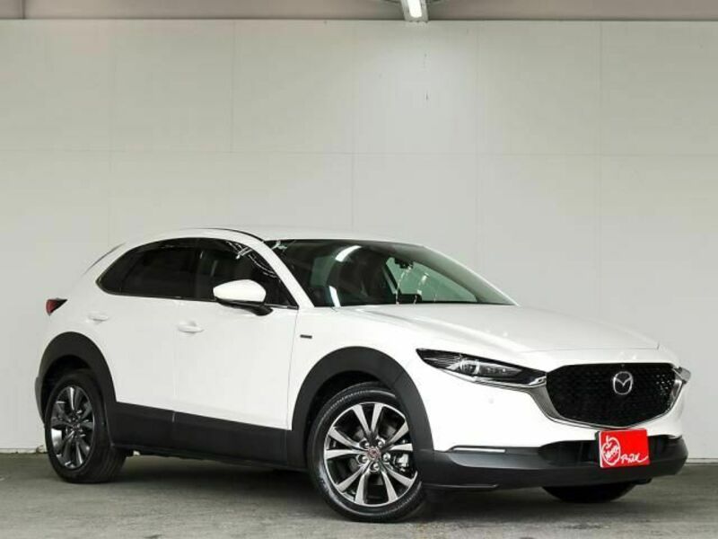 CX-30