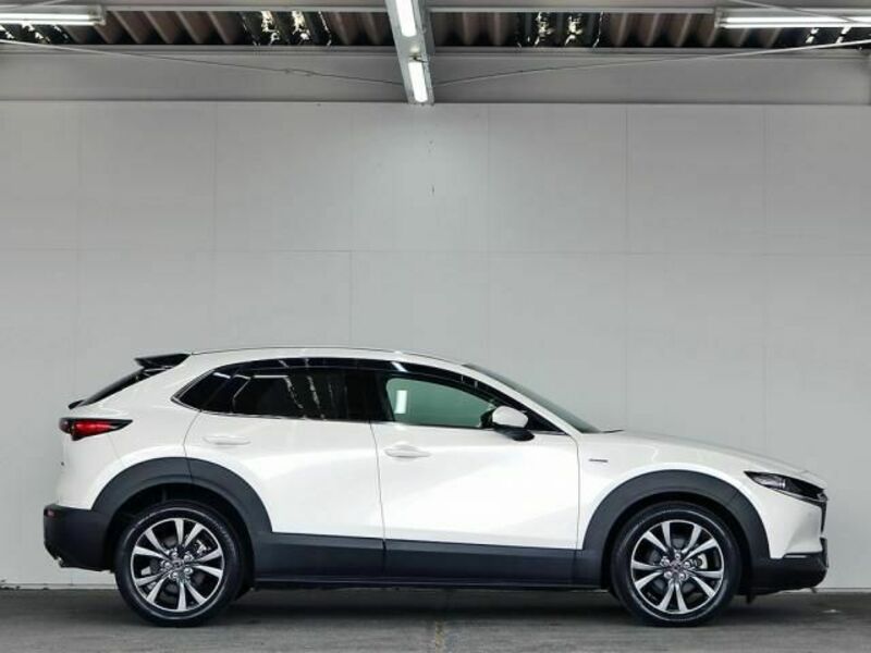 CX-30