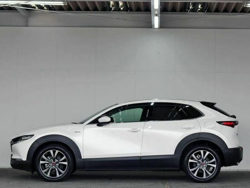 CX-30