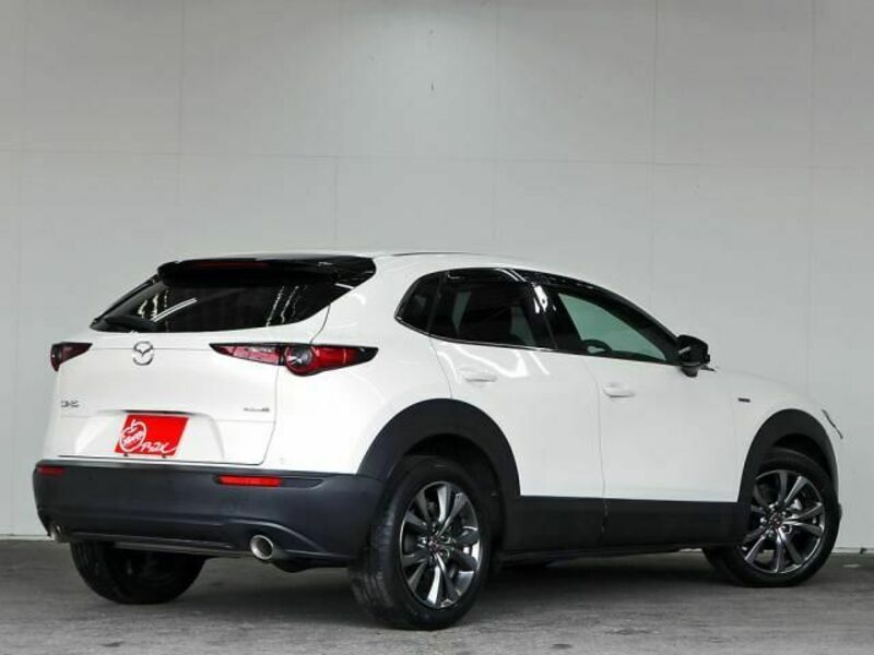 CX-30