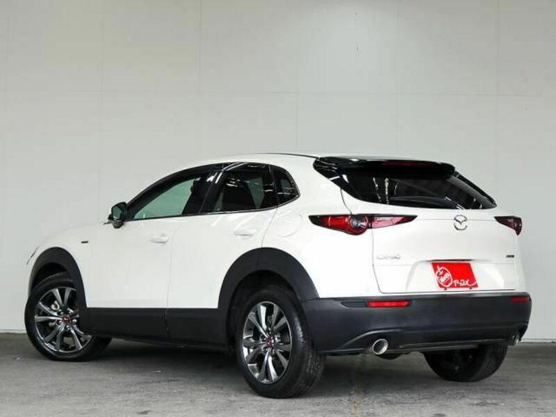 CX-30