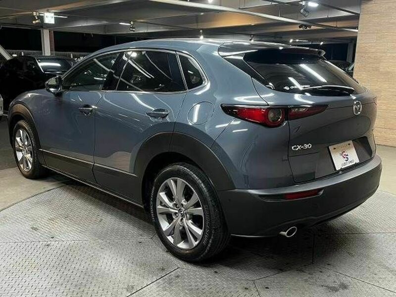 CX-30