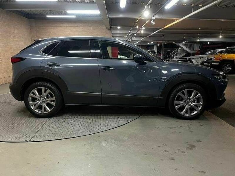 CX-30