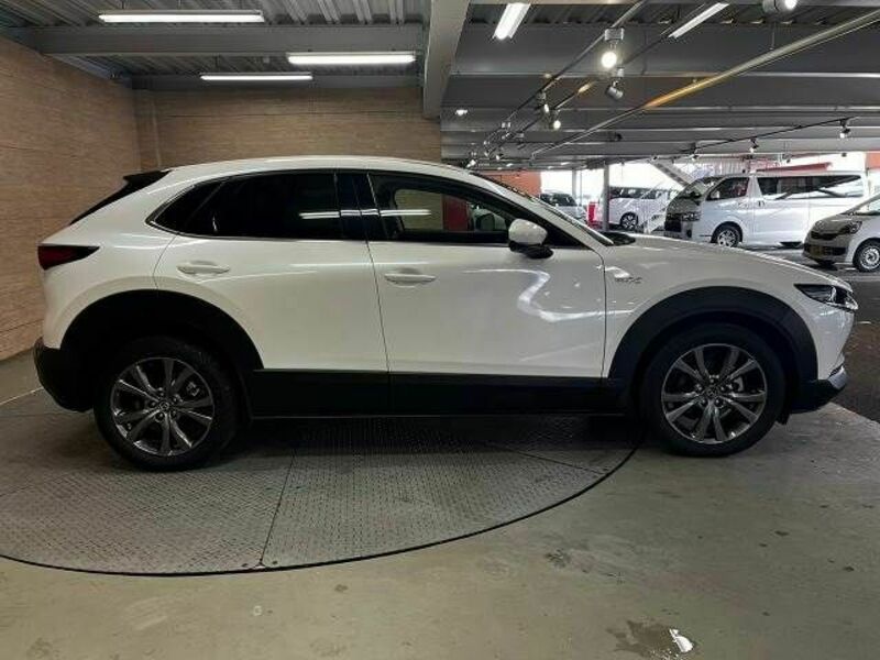 CX-30