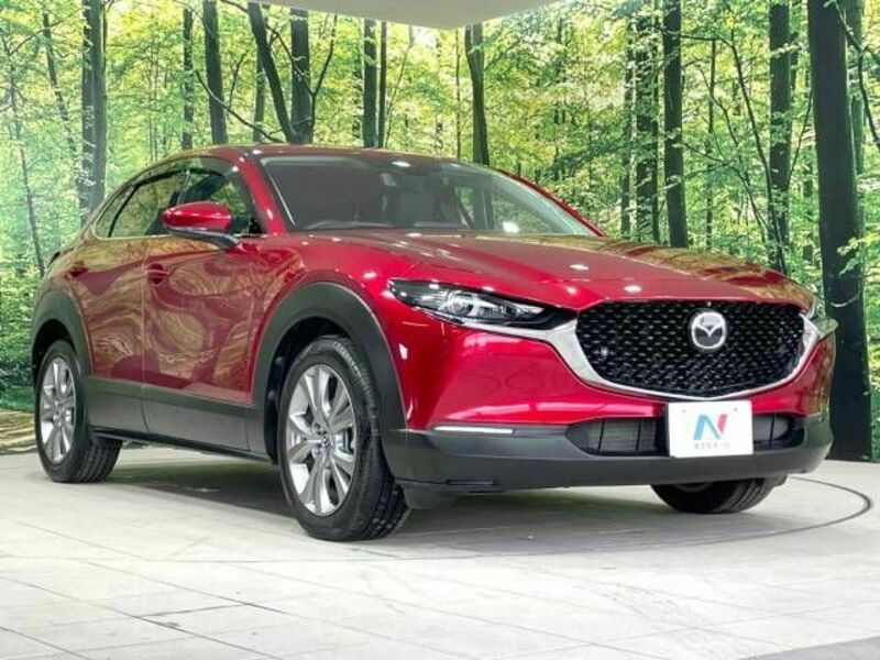 CX-30