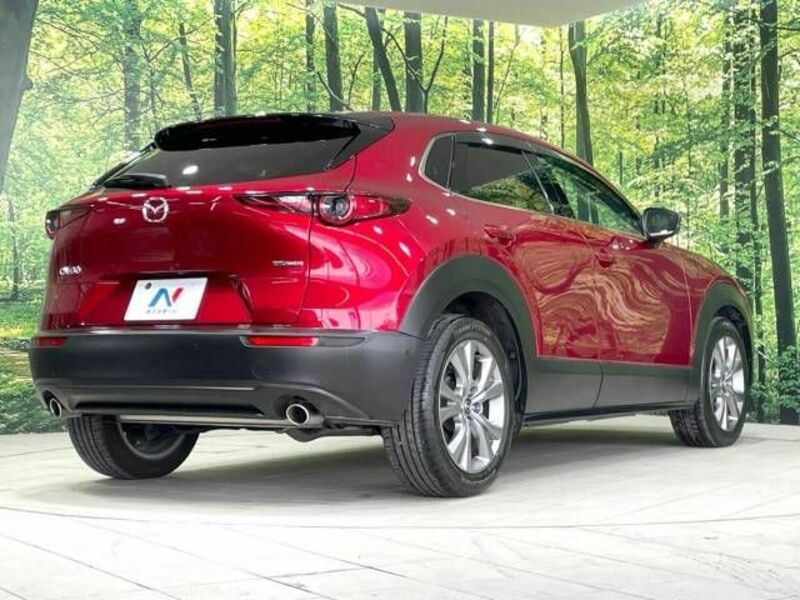 CX-30