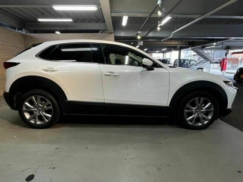 CX-30