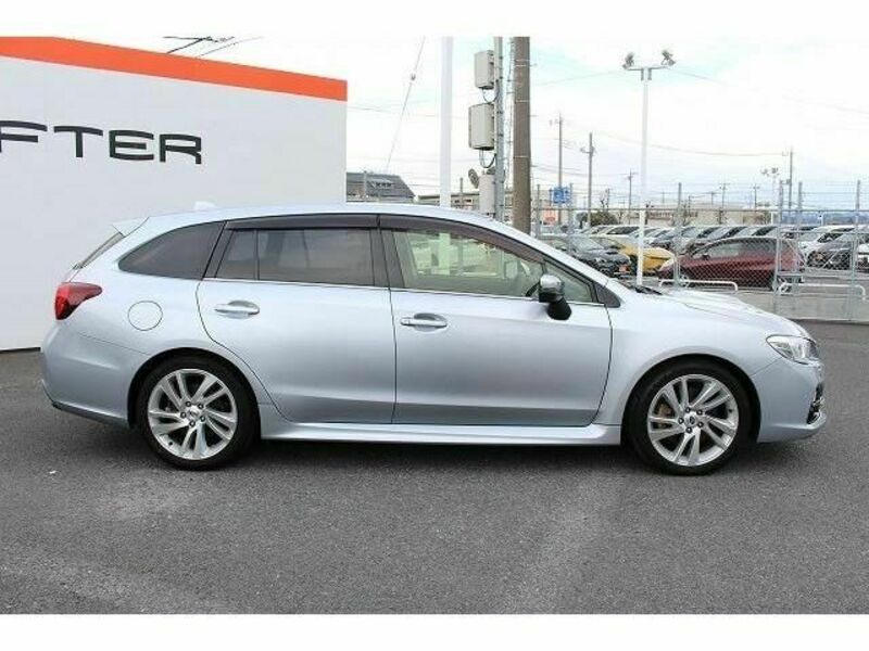 LEVORG