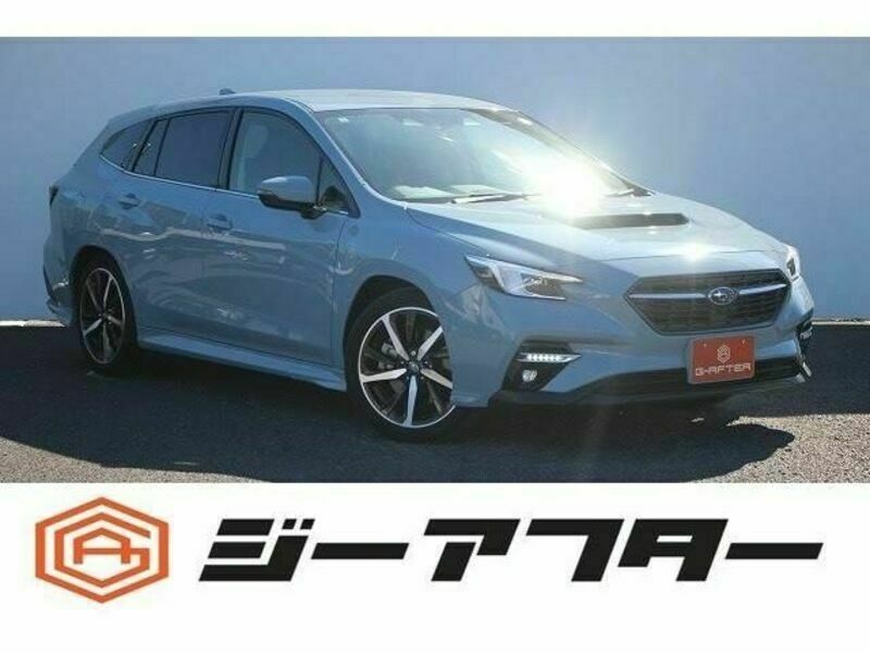 LEVORG-0