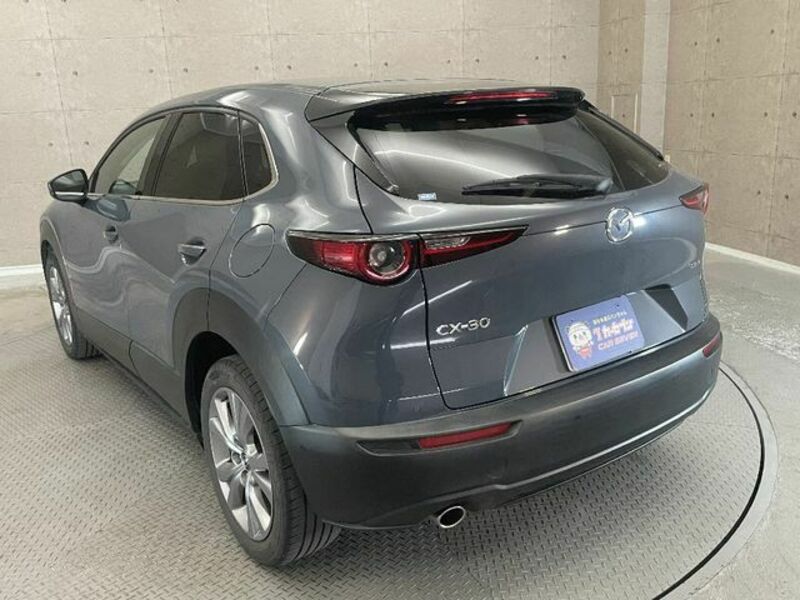 CX-30