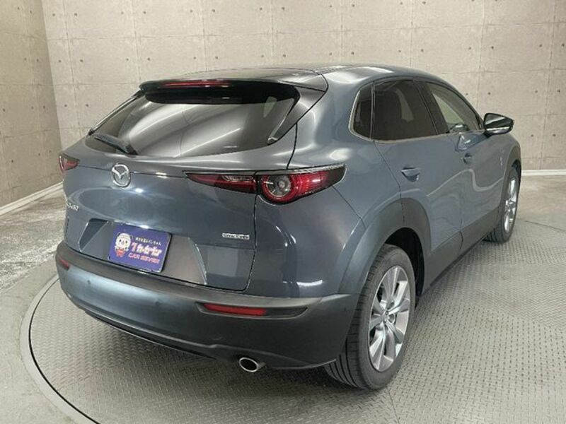 CX-30