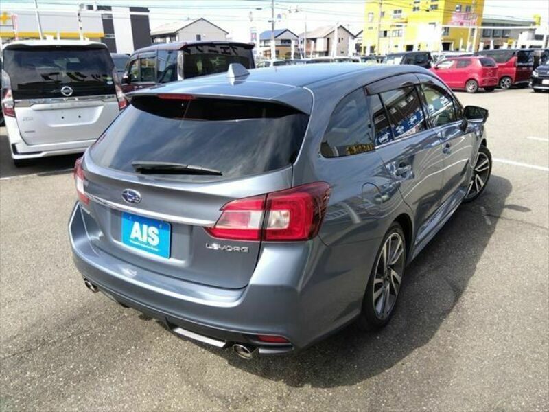 LEVORG