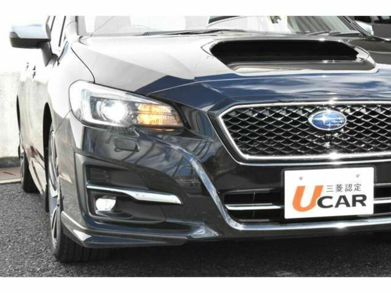 LEVORG