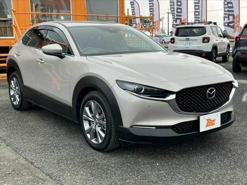 CX-30